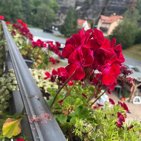 Luxuriöse Fewohnung Felsenblick