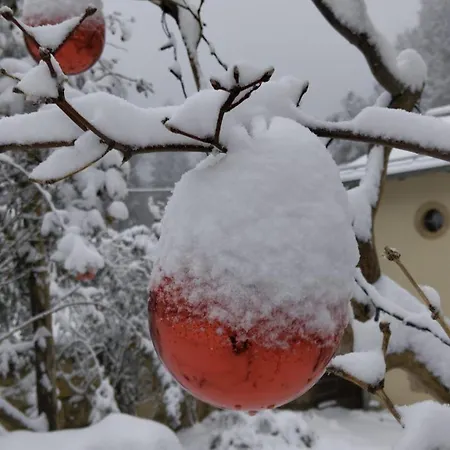 Apartment Luxuriöse Fewohnung Felsenblick *