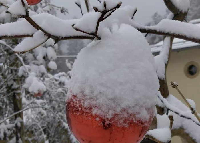 Apartamento Luxurioese Fewohnung Felsenblick *