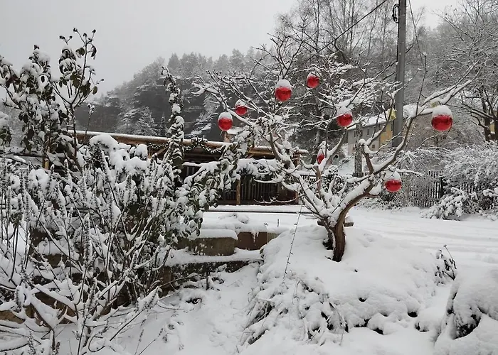 Luxurioese Fewohnung Felsenblick Rosenthal-Bielatal