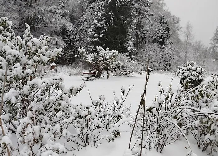 Luxurioese Fewohnung Felsenblick * Rosenthal-Bielatal