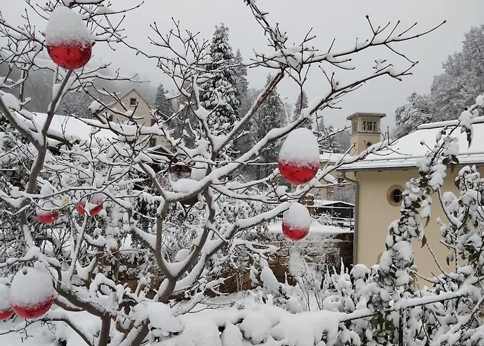 Luxurioese Fewohnung Felsenblick Rosenthal-Bielatal